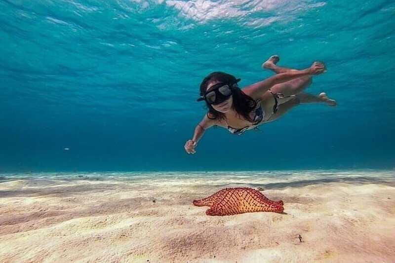 Cozumel: Glass-bottom Boat Snorkeling Adventure - Practical details that can save you a headache