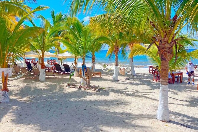 Cozumel Jeep Adventure Natural Cenote & Mayan Experience OTOCH - What the Private Guide Adds