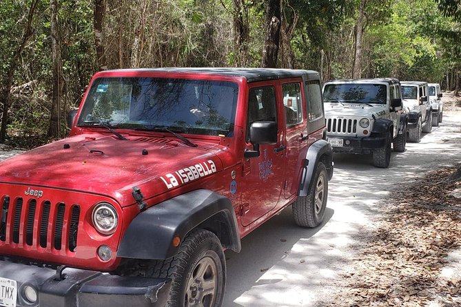 Cozumel Jeep Adventure to Jade Caverns with Lunch and Snorkel - What the $97 price gets you