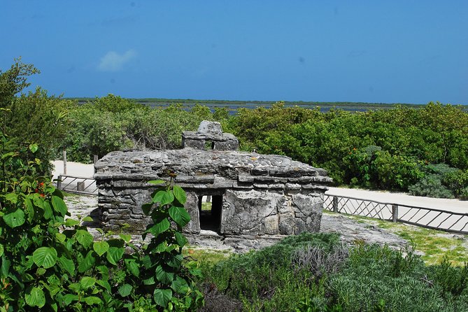 Cozumel Jeep and Snorkel Adventure with Lunch at Punta Sur Park - Who should book this Cozumel outing?