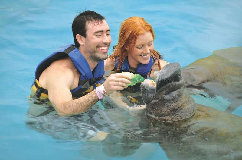 Cozumel: Manatee Encounter, Chankanaab Admission and Buffet - Quick facts before you book