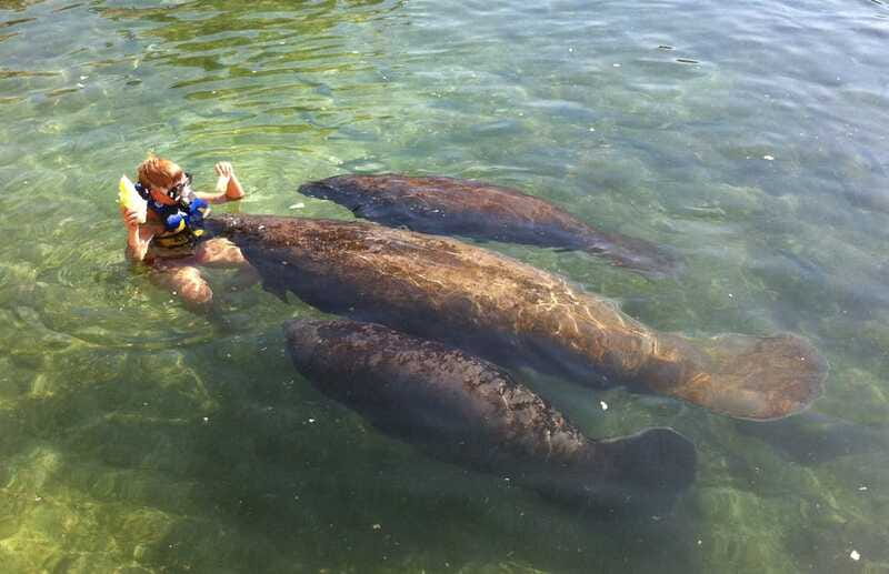 Cozumel: Manatee Encounter, Chankanaab Admission and Buffet - Should you book the Chankanaab manatee encounter?