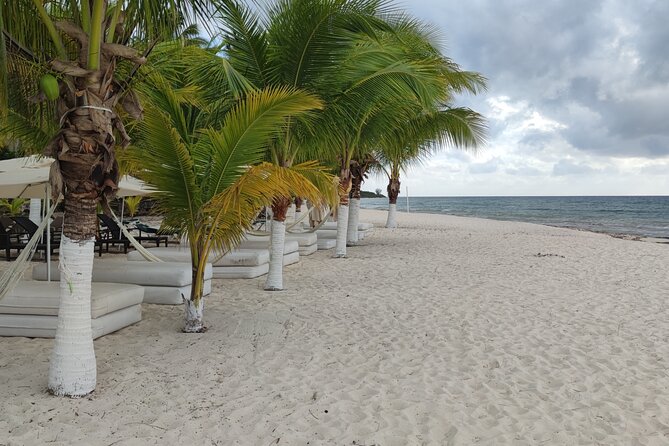 Cozumel Mayan Ruins and Beach Break - Who Will Get the Most From This Tour