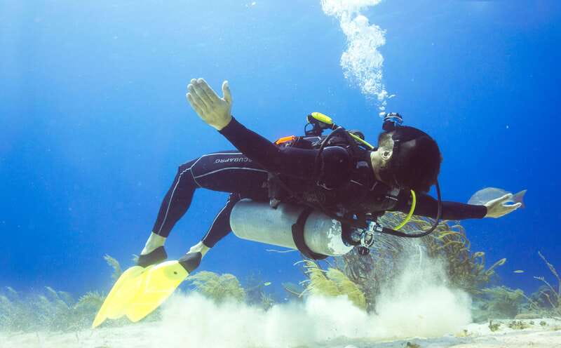 Cozumel: One Tank Scuba Dive and Full Chankanaab Park Access - What the one-tank session is really like