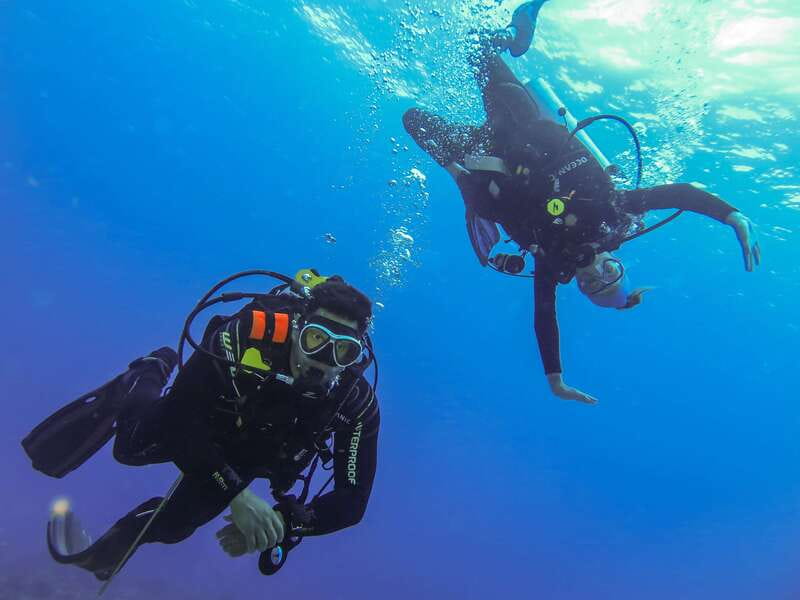 Cozumel: One Tank Scuba Dive and Full Chankanaab Park Access - Making the most of Chankanaab after the session