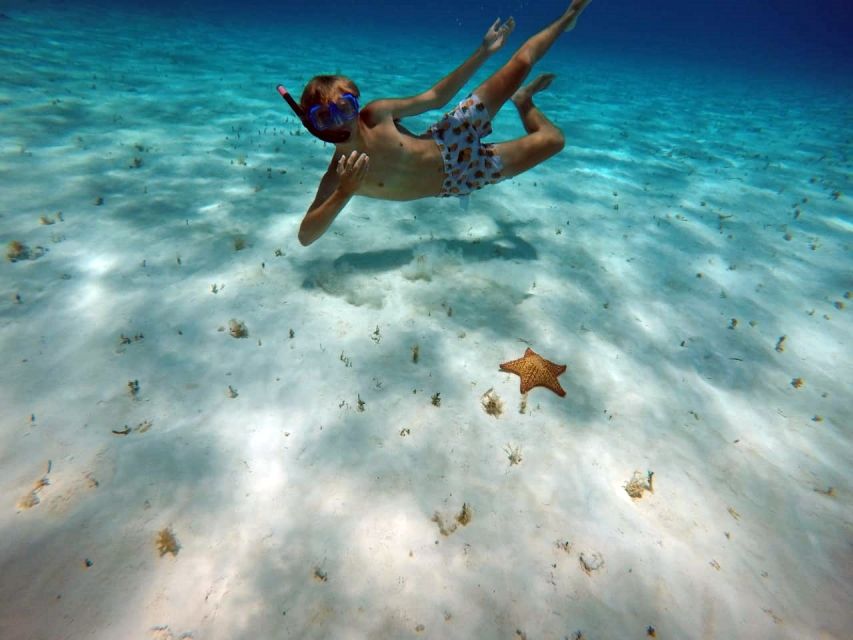 Cozumel: Private Charter Boat and Snorkel Day Trip - Is $799 good value for your group?