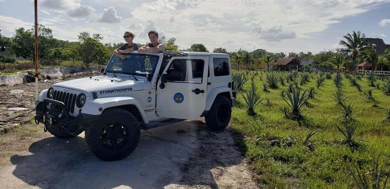 Cozumel Private Jeep Tour with Lunch and Snorkeling - Who should book this Cozumel Jeep tour?