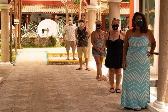 Cozumel Private Jeep Tour with Snorkeling Experience and Lunch - A private Jeep makes the route your own