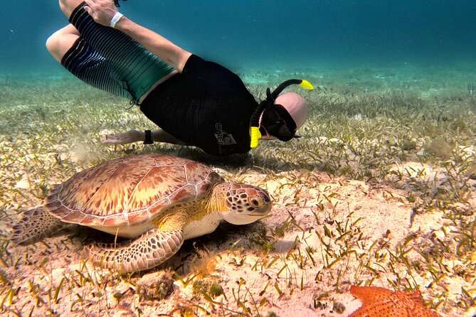 Cozumel Private Snorkeling and Charter Experience - A private charter, not a set group tour