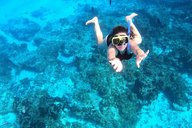 Cozumel Private Snorkeling and Charter Experience - Is $900 good value for your group?