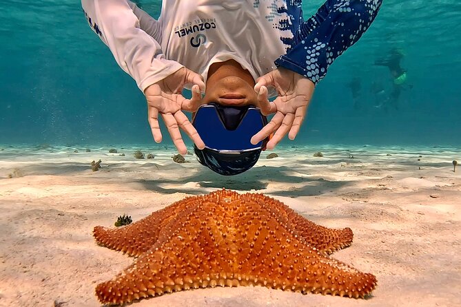 Cozumel Private Snorkeling and Charter Experience - Who should book this Cozumel charter?