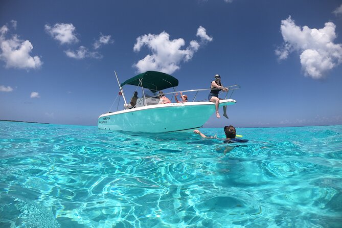Cozumel Private Snorkeling and Charter Experience - El Cielo and Columbia Reef: the named stops