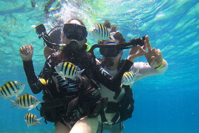 Cozumel Scuba Dive at Chankanaab - Getting there from Cozumel’s cruise ports