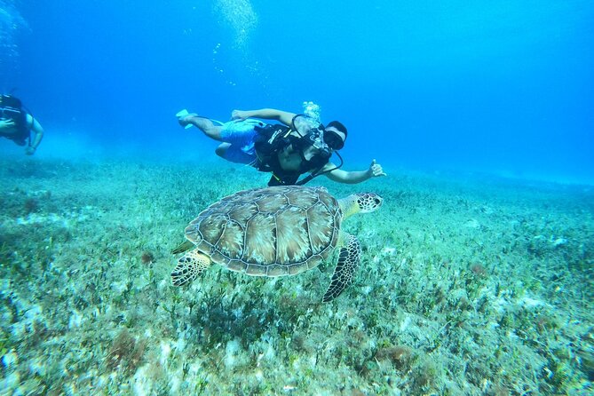 Cozumel Scuba Dive at Chankanaab - Who should book this Chankanaab outing?