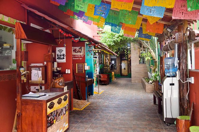 Cozumel Shore Excursion: 5-Hour Sightseeing Tour with Private Driver - Tequila, agave, and a honey drink for children