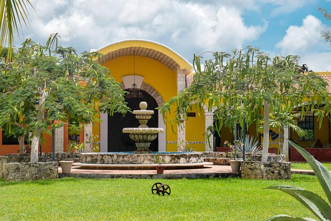 Cozumel Shore Excursion: 5-Hour Sightseeing Tour with Private Driver - El Mirador and the island’s east coast