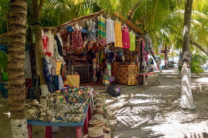 Cozumel Shore Excursion: 5-Hour Sightseeing Tour with Private Driver - How the private format changes the day