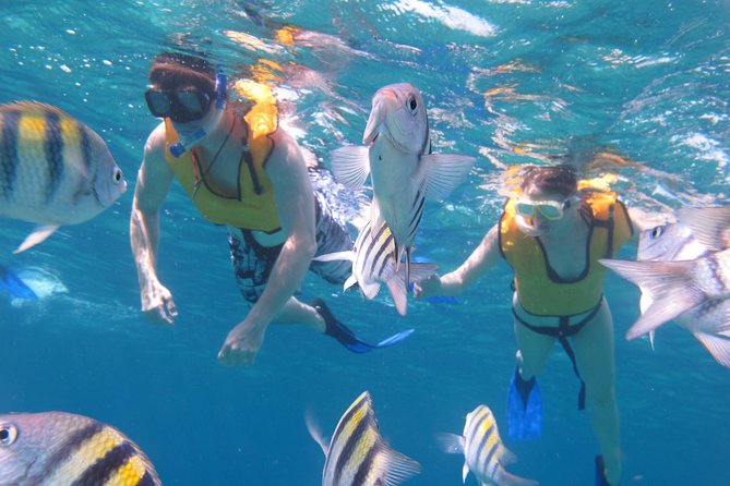 Cozumel Shore Excursion: Playa Uvas Private Beach Pass - Beach-club comfort, not a resort day