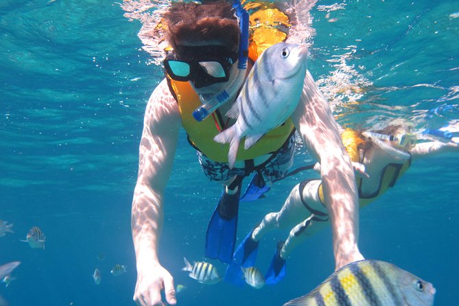 Cozumel Shore Excursion: Playa Uvas Private Beach Pass - Who will enjoy Playa Uvas most