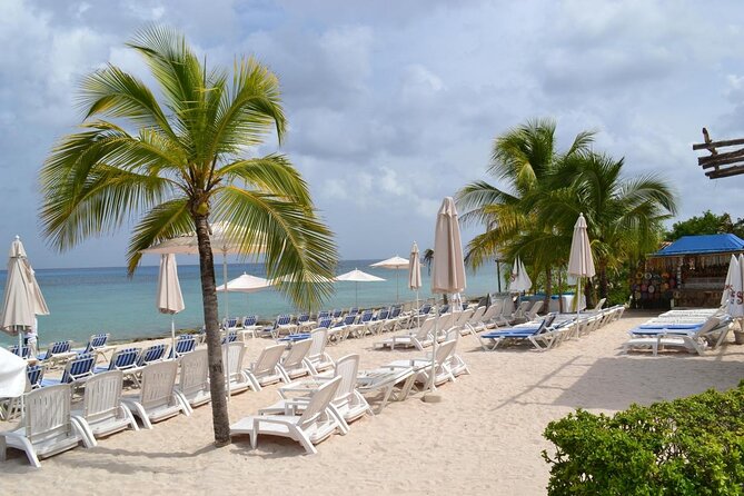 Cozumel Shore Excursion: Playa Uvas Private Beach Pass - Snorkeling from a rocky shore
