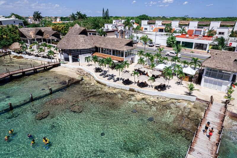 Cozumel: Snorkel and Swim with Stingrays - Meeting the rays at Stingray Beach