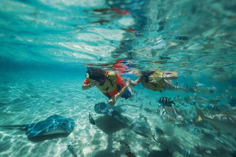 Cozumel: Snorkel and Swim with Stingrays - The rescued coral and the rest of the beach club
