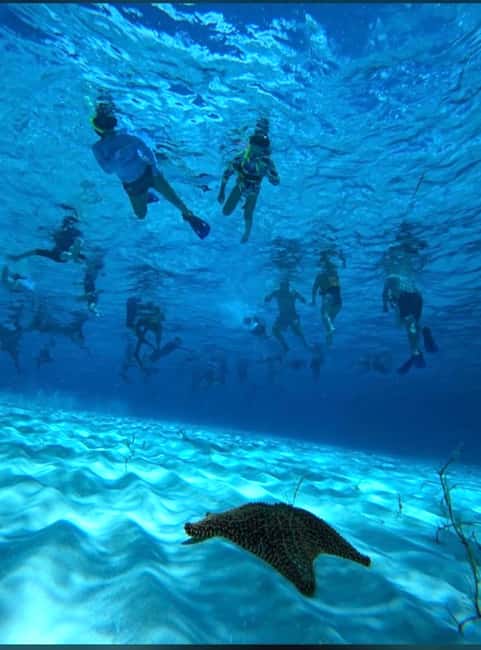 Cozumel: snorkeling on reefs + visit to "El Cielo" - Key points before you book