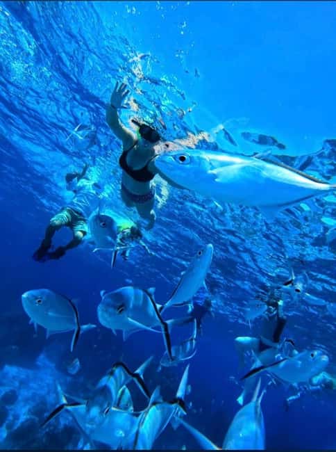 Cozumel: snorkeling on reefs + visit to "El Cielo" - Reefs first, then the pale shallows of El Cielo
