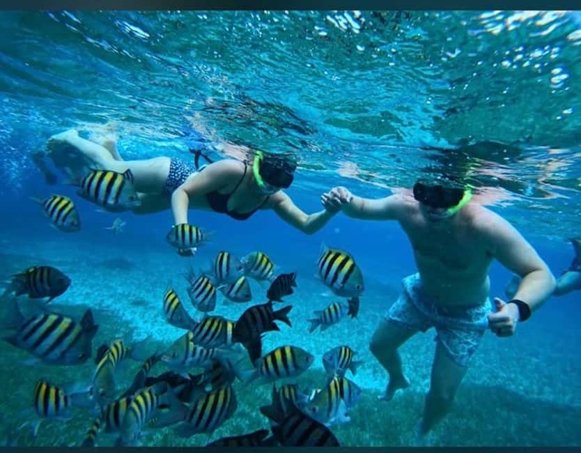 Cozumel: snorkeling on reefs + visit to "El Cielo" - El Cielo’s starfish and easygoing water time
