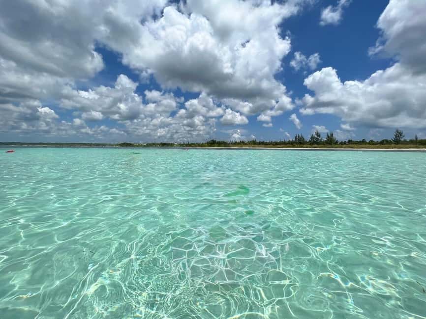 Cozumel: snorkeling on reefs + visit to "El Cielo" - Snacks, drinks, and the value of the fare