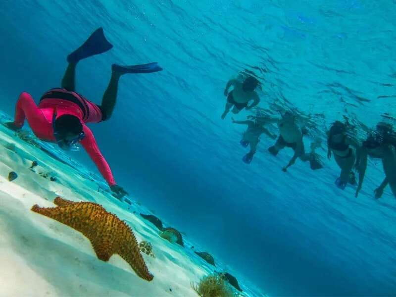 Cozumel: snorkeling on reefs + visit to "El Cielo" - Check-in, sun rules, and other practical details