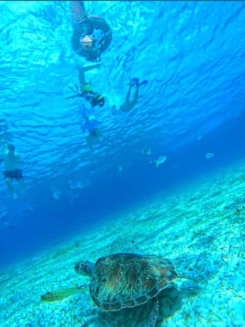 Cozumel: snorkeling on reefs + visit to "El Cielo" - What snorkeling feels like on a guided group trip