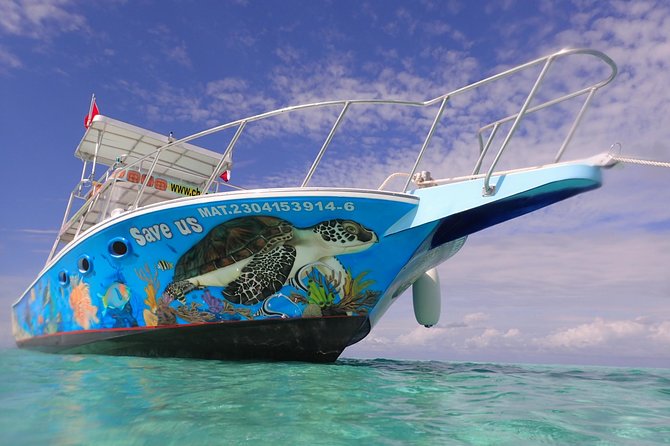 Cozumel Snorkeling Tour at Palancar & Colombia Reefs and El Cielo - Reefs, starfish, and a sandbar in one half-day
