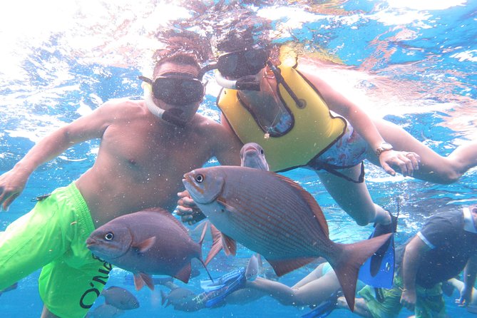 Cozumel Snorkeling Tour at Palancar & Colombia Reefs and El Cielo - The boat, crew, snacks, and drinks