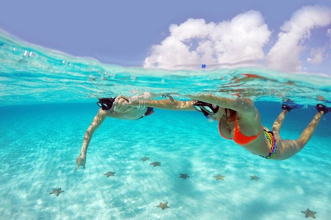 Cozumel Snorkeling Tour: Palancar, Columbia and El Cielo Reefs - At a glance: the details that matter