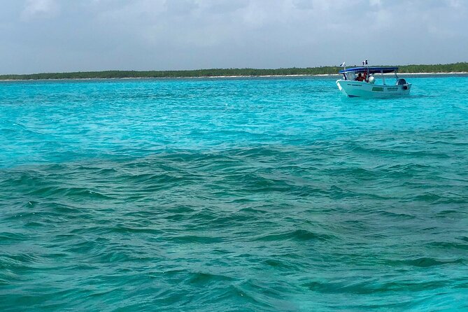 Cozumel Snorkeling Tour: Palancar, Columbia and El Cielo Reefs - Three headline stops, with reef time in between
