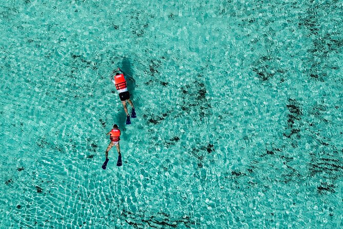 Cozumel: VIP Access Pass at KUZÁ Beach & Adventure Park - Should you book this pass?