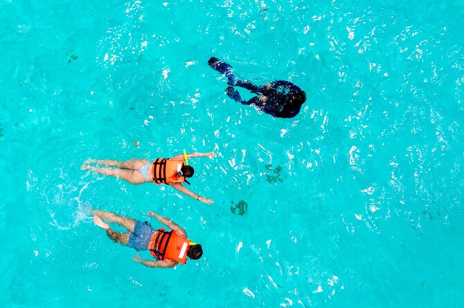 Cozumel: VIP Access Pass at KUZÁ Beach & Adventure Park - Lunch, snacks, and what the open bar covers