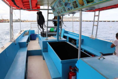 VIP Glass Bottom Boat & Snorkeling 3 Reefs Tour