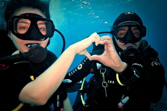 Discover Scuba Diving in Cozumel Paradise Reef - Paradise Reef, one calm start and two reef visits
