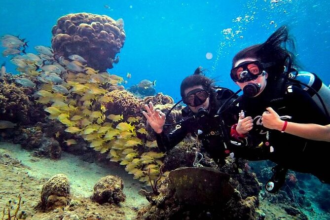 Discover Scuba Diving in Cozumel Paradise Reef - FAQ