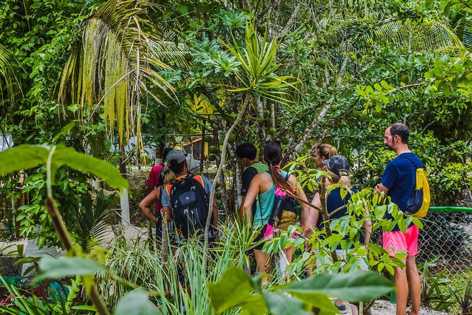 E-Bike Adventure in Cozumel - West Side Ride N' Snorkel - What $69 includes, and what it does not