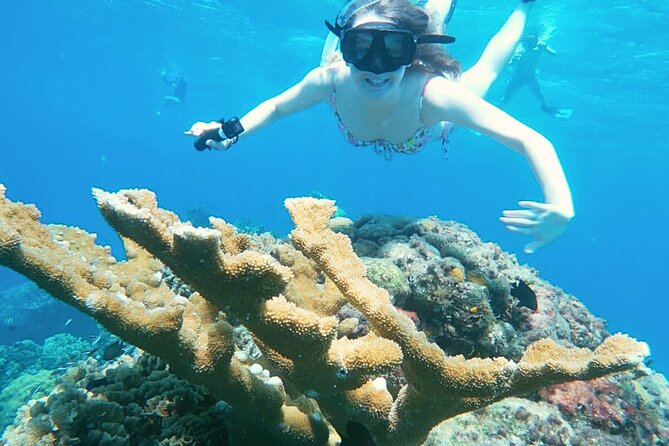 El Cielo Cozumel Snorkel Private Boat + Food + Drinks + Beach - Guides Who Keep the Group Together