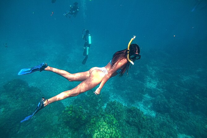 El Cielo Cozumel Snorkel Private Boat + Food + Drinks + Beach - Who Will Get the Most from This Trip