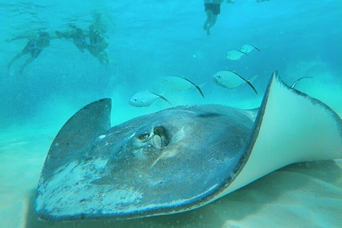 El Cielo Cozumel Snorkel Private Boat + Food + Drinks + Beach - Should You Book This Cozumel Snorkel?