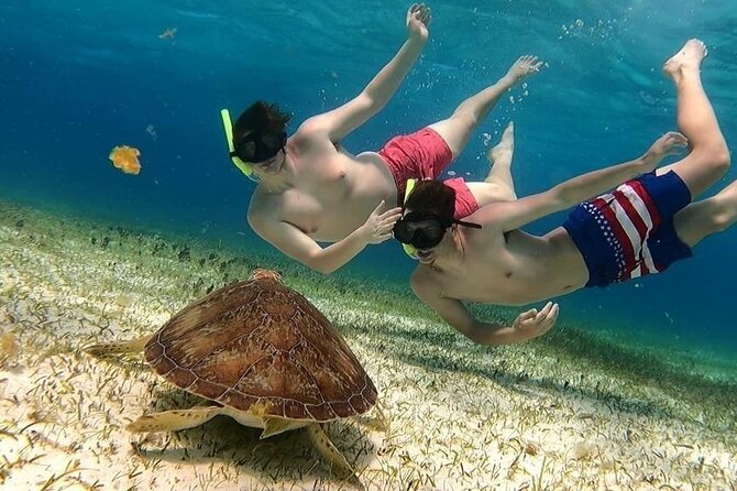 El Cielo Cozumel Snorkel tour by Catamaran - A four-hour outing built around the water
