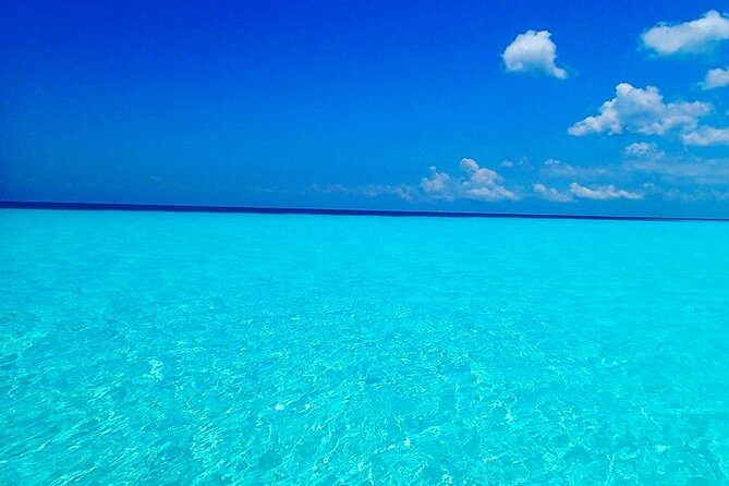 El Cielo Cozumel Snorkeling Tour - All-Inclusive - Should you book this Cozumel snorkel tour?