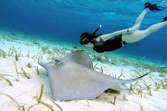 El Cielo Cozumel Snorkeling tour by Private Boat - A private boat makes the day feel personal