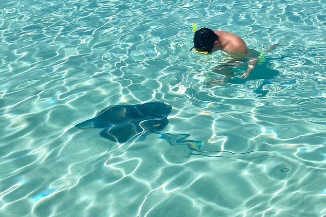 El Cielo Cozumel Snorkeling tour by Private Boat - Four hours, plus the journey to the marina