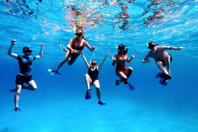 El Cielo Cozumel Snorkeling tour by Private Boat - What the $789 price really covers